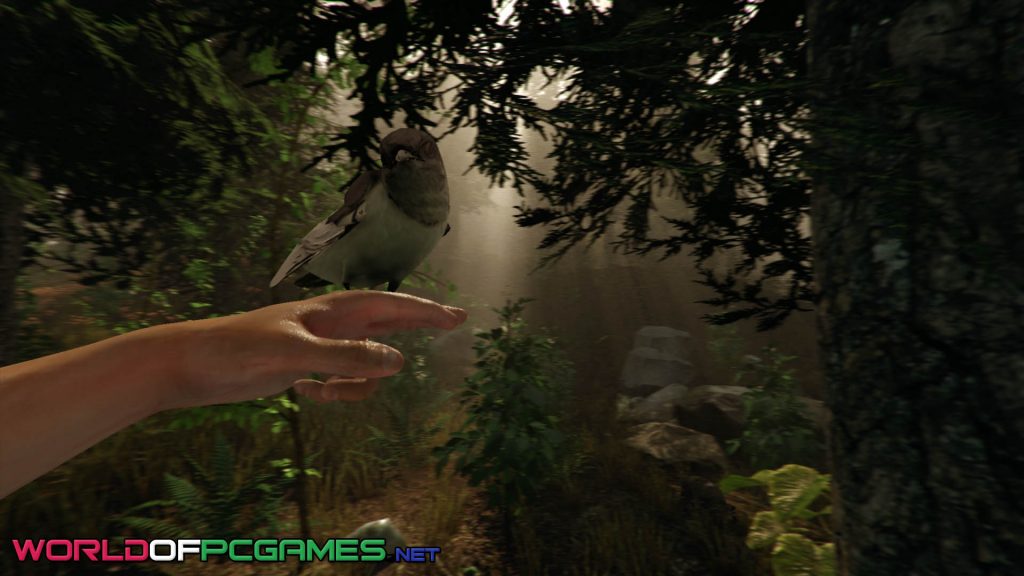 The Forest Free Download By worldof-pcgames.net