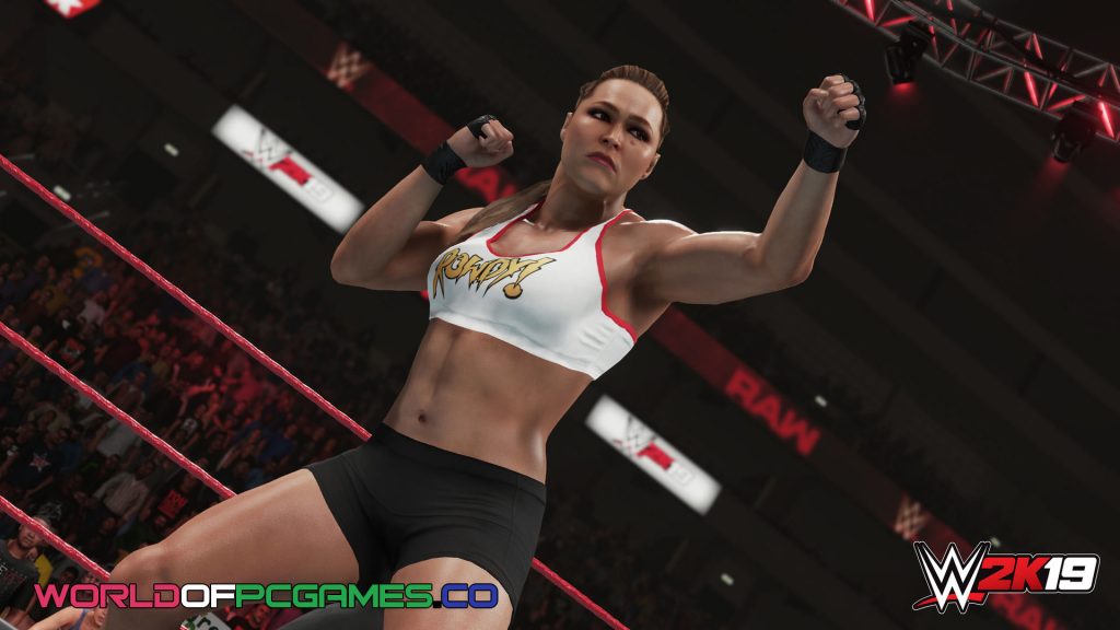 WWE 2K19 Free Download PC Game By worldof-pcgames.net