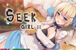 Seek Girl III Free Download By Worldofpcgames