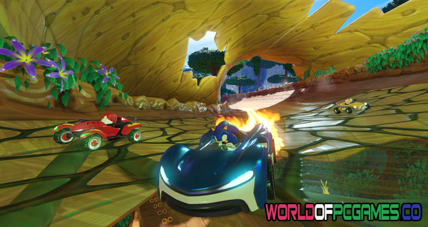 Team Sonic Racing Free Download PC Game By worldof-pcgames.net
