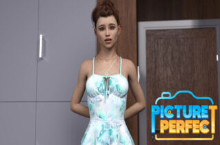 Picture Perfect Free Download By Worldofpcgames