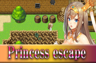 Princess escape Free Download By Worldofpcgames