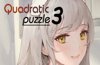 Quadratic puzzle 3 Free Download By Worldofpcgames