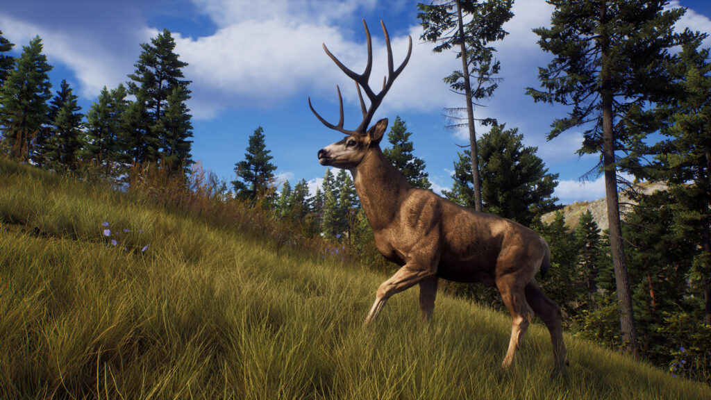 Way of the Hunter Free Download By Worldofpcgames