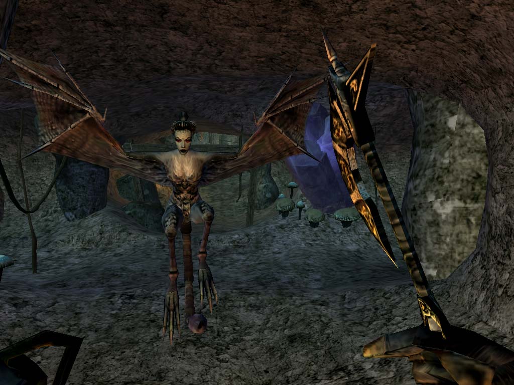 The Elder Scrolls III Morrowind GOTY Free Download By Worldofpcgames