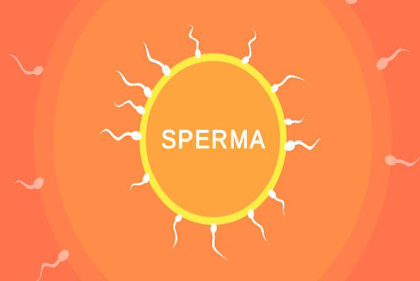 Sperma Free Download By Worldofpcgames