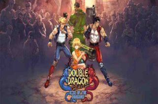 Double Dragon Gaiden Rise of the Dragons Free Download By Worldofpcgames