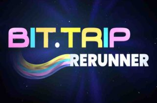 BIT.TRIP RERUNNER Free Download By Worldofpcgames