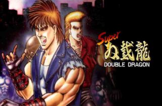 Super Double Dragon Free Download By Worldofpcgames