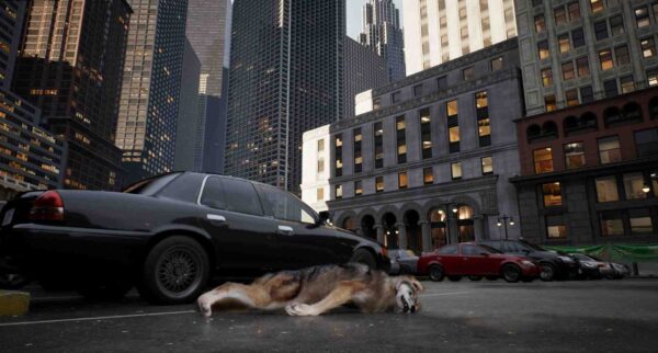 WOLF IN THE CITY Free Download By Worldofpcgames