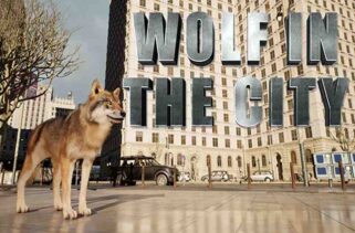 WOLF IN THE CITY Free Download By Worldofpcgames
